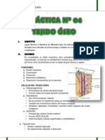 Práctica N°4 Histologia To