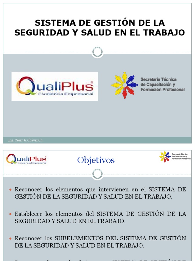 Sistema de Gestión de La Seguridad y Salud en El Trabajo | PDF ...