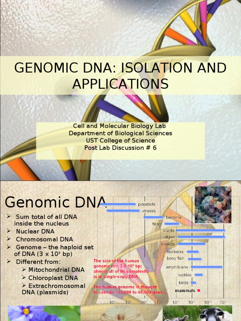 Genomic DNA Isolation and Applications Polymerase Chain Reaction