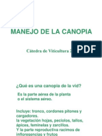 Manejo Canopia Desbrote