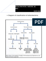 Diagram of Classification of Enterobacteria