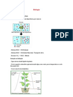 Biologia Resumo 2º Bimestre