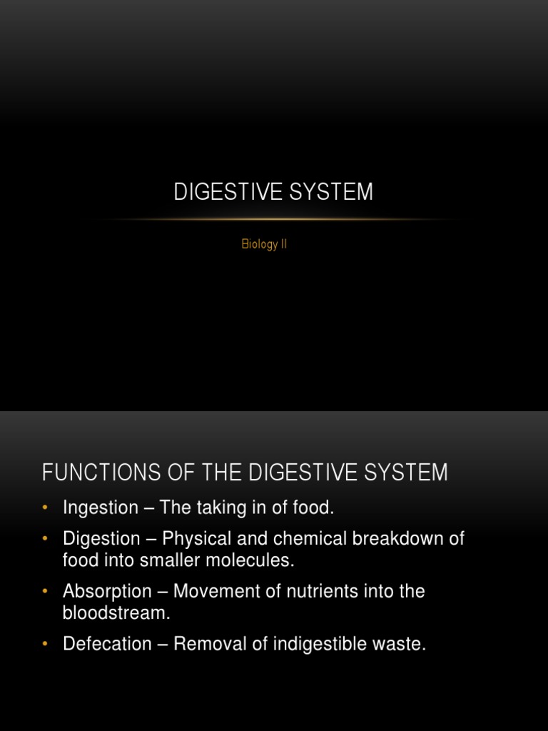 Digestive System Powerpoint Lecture PDF Digestion Human Digestive