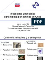 Infecciones zoonóticas caninas