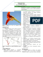 001_Brasicales_Tropaeolaceae.pdf