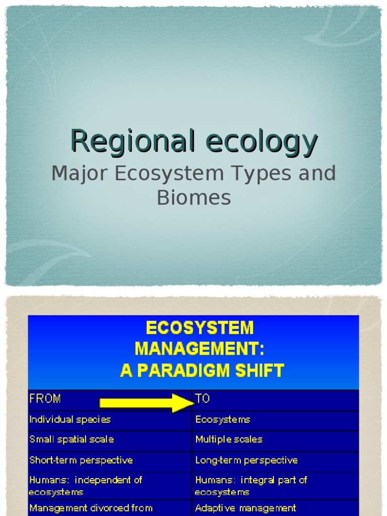 Google scholar image