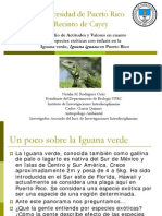 Estudio de Actitudes y Valores en Cuanto A Especies Exóticas Con Énfasis en La Iguana Verde (Iguana Iguana) en Puerto Rico