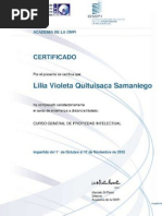 Propiedad Intelectual Certificado