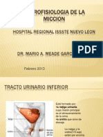 Neurofisiología de La Micción.