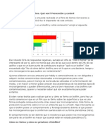 Biofilm Que Es - Prevención y Remoción