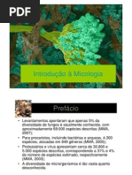 Aula de Micologia - 2012-2 Biotecnologia