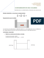 Practica 10. Flujo de Un Contaminante en Una Columna