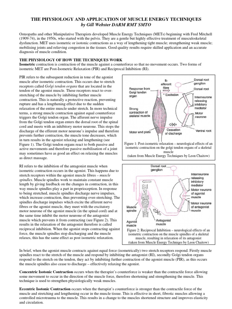 Muscle Energy Techniques | PDF | Muscle Contraction | Muscle