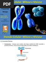 Aula Mitose e Meiose