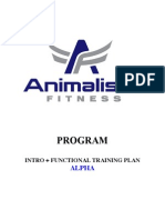 Functional Training Plan A