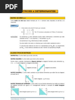 Matrices e Determinantes _Apuntes Mat2