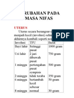 Perubahan Pada Masa Nifas