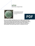 Barrel Cactus: Common Name(s) : Barrel Cactus, Compass Cactus Genus: Ferocactus Species: Wislizeni