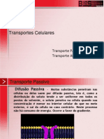 Transp_celular Membrana Plasmatica