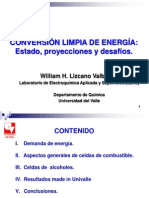 Celdas de Combustible PDF