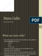 Tok Stem Cells Avp