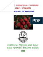 Sop Stroberi Ciwidey Bandung Revisi (Editan)