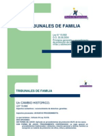 Tribunales de Familia_principios Generales