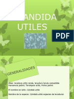 Presentacion Candida Utiles