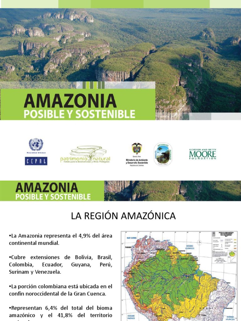 Amazonas Posible Y Sostenible Sustentabilidad Los Bosques