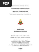 Artigo - Ato Administrativo - Ler Sublinhar e Arquivar