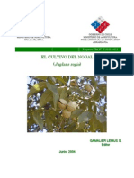 89581325-Cultivo-Del-Nogal.pdf