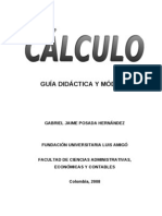 Calculo economico