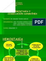 Hesmostasiaycoagulacionsanguinea 090925061347 Phpapp02