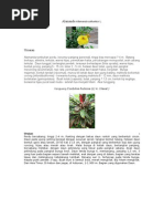 Download Pangkas by wahyusoil unhas SN13919835 doc pdf