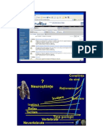 Neurofiziologie Zagrean