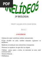 Anelideos.ppt OK.2013