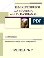 Sistem Reproduksi Pada Manusia Copy