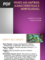 Dos peixes aos anfíbios