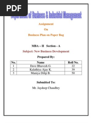  business plan on paper bag.docx