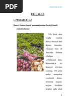 Download Buku Panduan Ubi Jalar by Zesiee Luph SN139226241 doc pdf