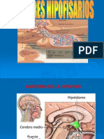 Tumores Hipofisiarios Clase Uprg 2