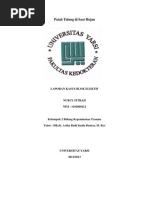 Download Fraktur Humerus by corrywigati SN139230026 doc pdf