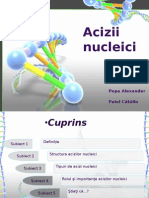 Acizi Nucleici 11H