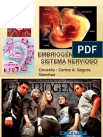 Diapositiva de Embriogenesis Del Sistema Nervioso