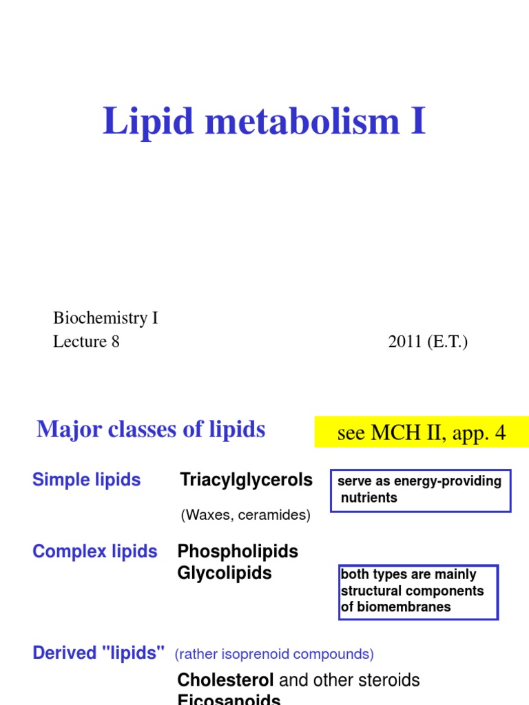 Lipid Metabolism | PDF | Lipoprotein | Citric Acid Cycle