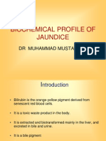 Jaundice Biochemical Profile