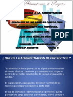 Exposicion Tics La Administracion Del Proyecto