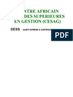 Cesag 2005 - Audit de Tresorerie