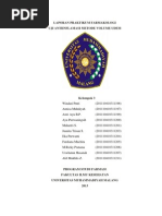 Download USWE LAPORAN PRAKTIKUM FARMAKOLOGI inflamasidocx by uswhatun hasanah SN139287102 doc pdf