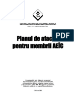 Planul De afaceri